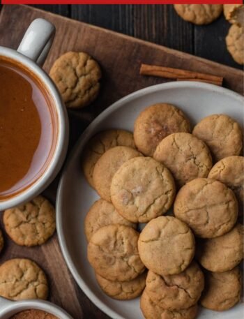 mexican cinnamon cookies recipe