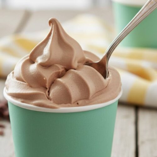 Homemade Ice Cream Wendy's Frosty